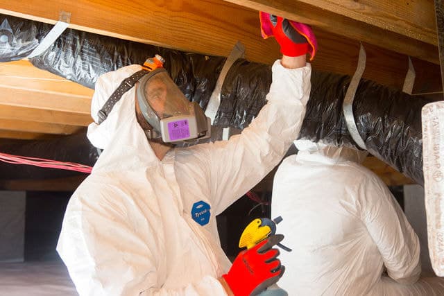 Unexpected Health Clues From Mold Inspection in Lake Zurich Homes